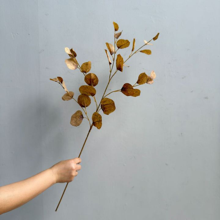 Elegant Decorative Eucalyptus Branch