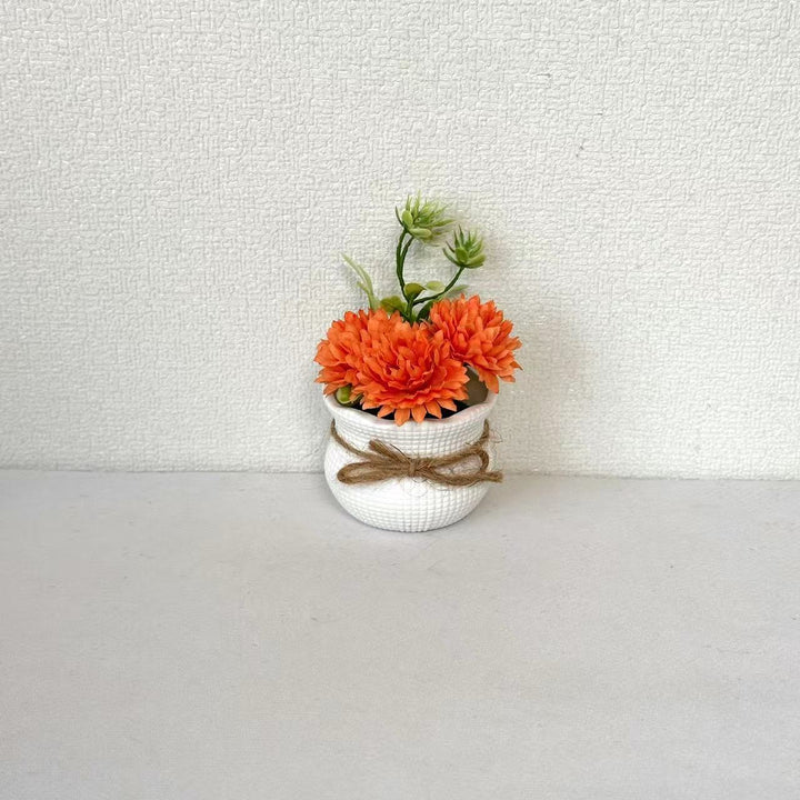 Decorative Mini Potted Flower Arrangement