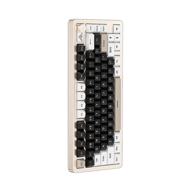 Compact Ergonomic Mechanical Keyboard Kalsten
