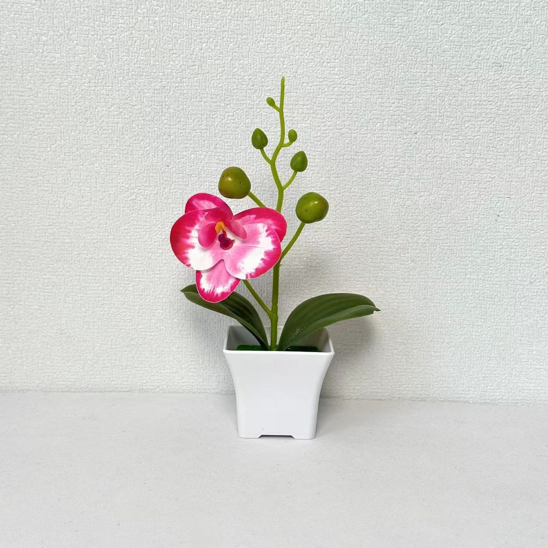 Lifelike Miniature Orchid Plant