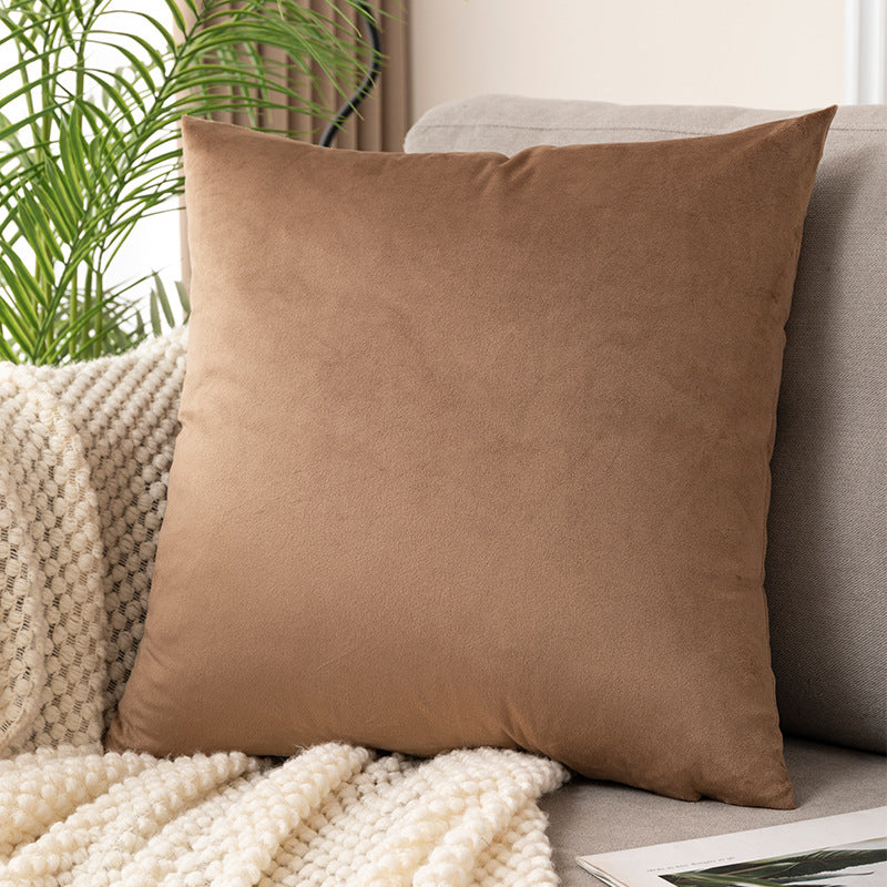 Plush Velvet Decorative Pillow