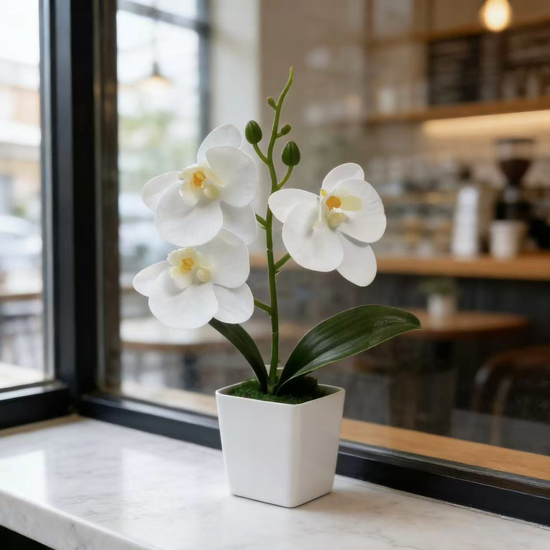 Decorative Artificial Orchid Planter for Home Decor Display