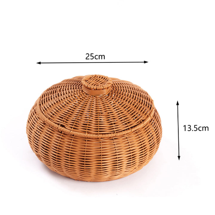Woven Storage Container with Lid Kalsten