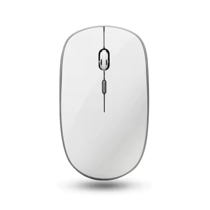 Ergonomic Wireless Mouse Kalsten
