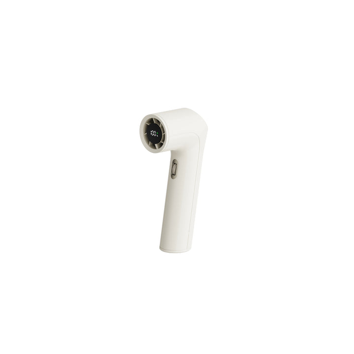 Handheld Garment Steamer Kalsten