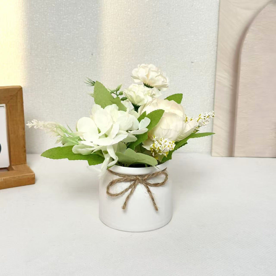 Decorative Ceramic Pot for Home Plant Display