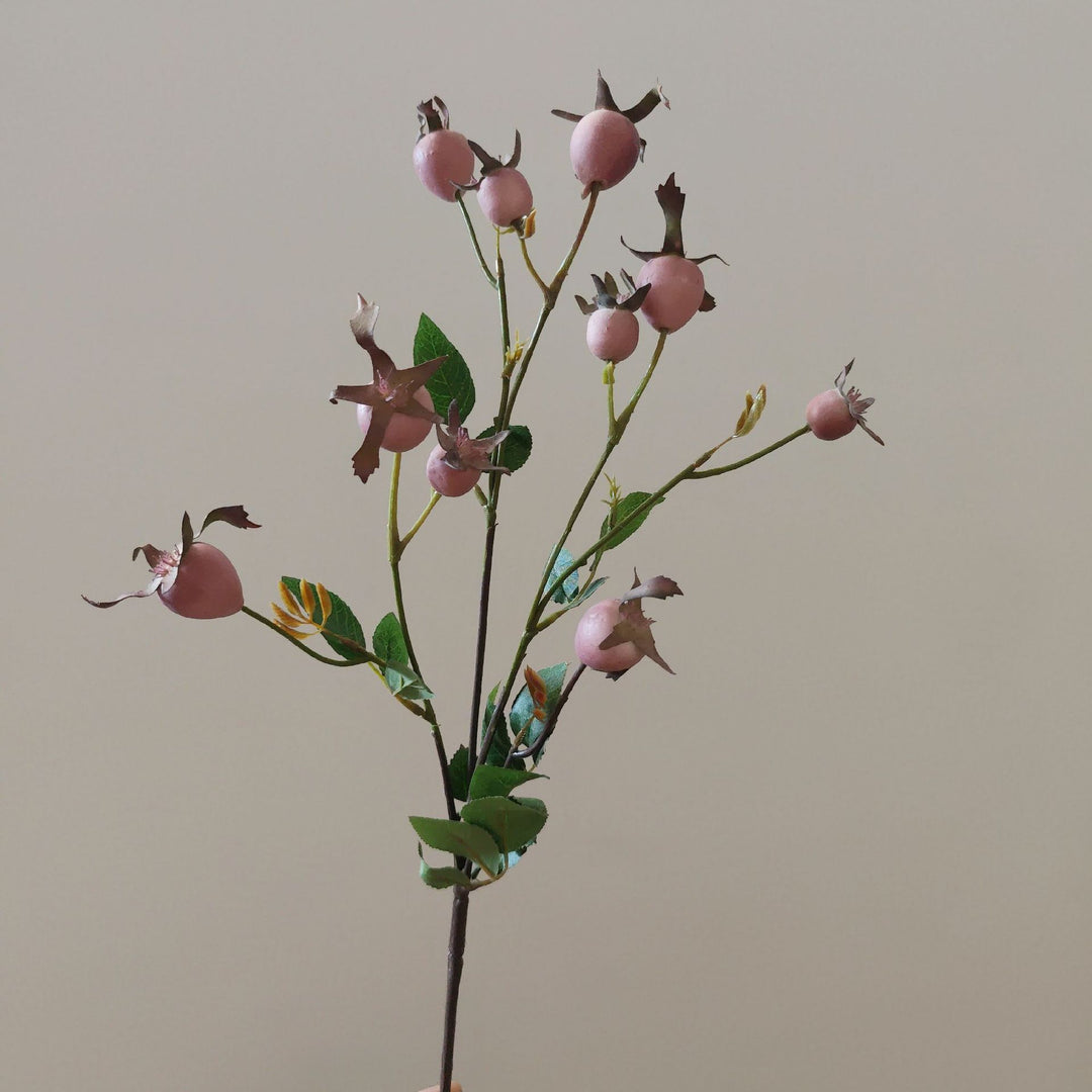 Decorative Natural Dried Floral Stem