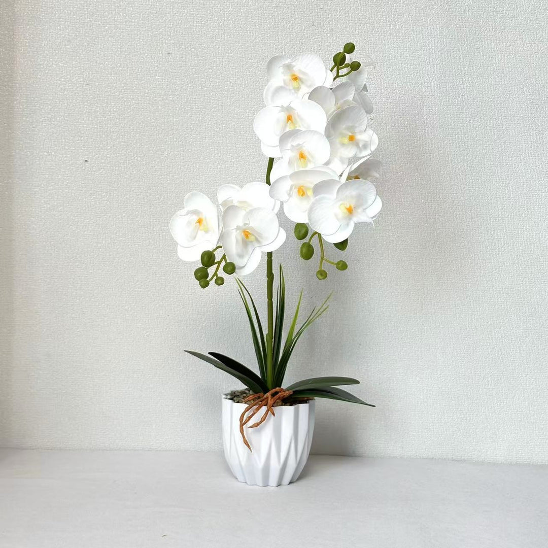 Lifelike Orchid Decorative Plant