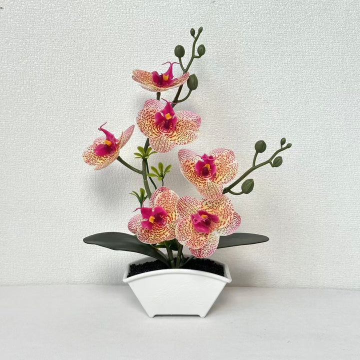 Realistic Decorative Orchid Plant Arrangement
