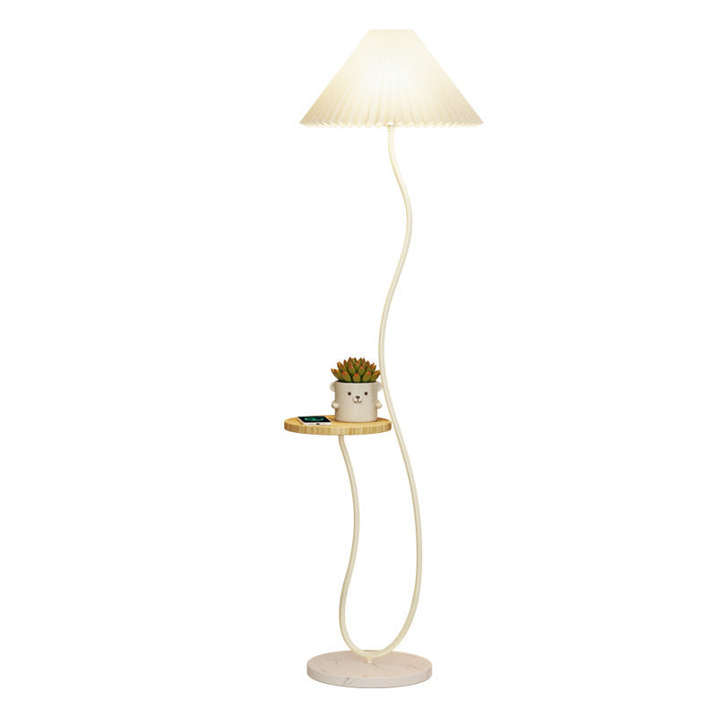 Contemporary Floor Lamp