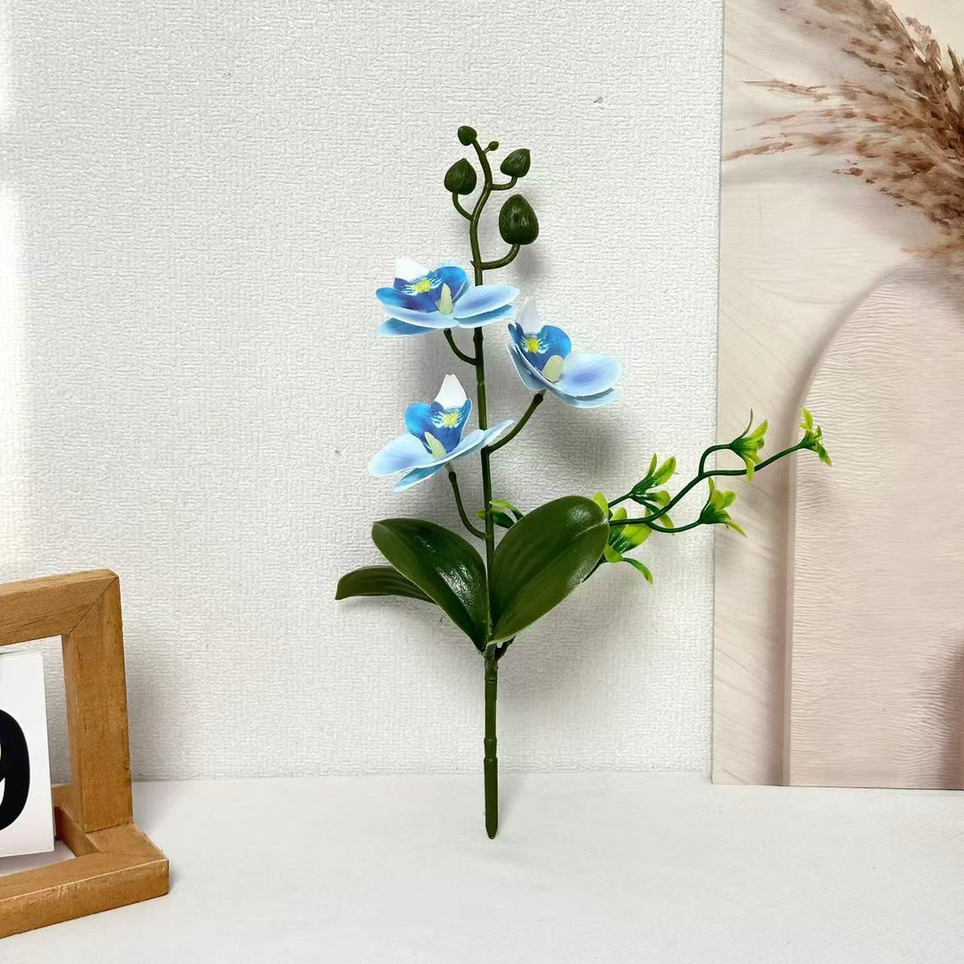 Elegant Orchids Floral Arrangement