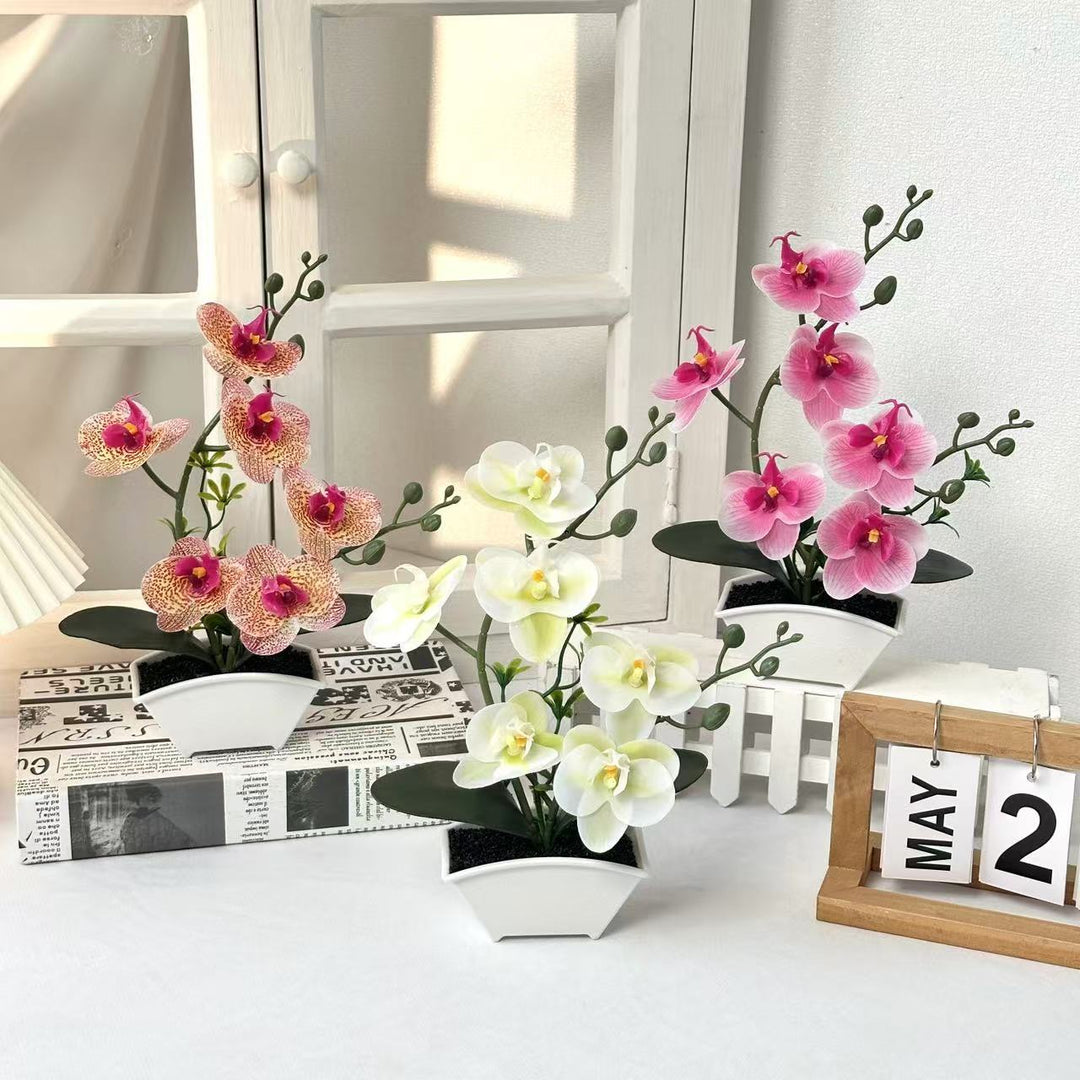 Realistic Decorative Orchid Plant Arrangement