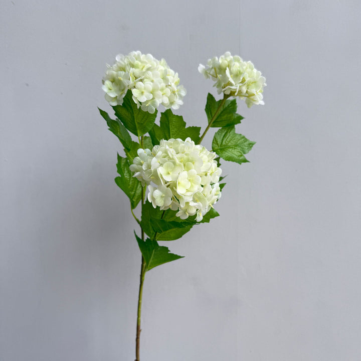 Decorative Hydrangea Stem