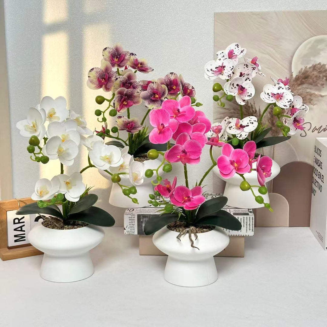 Decorative Orchid Flower Arrangement for Home Display
