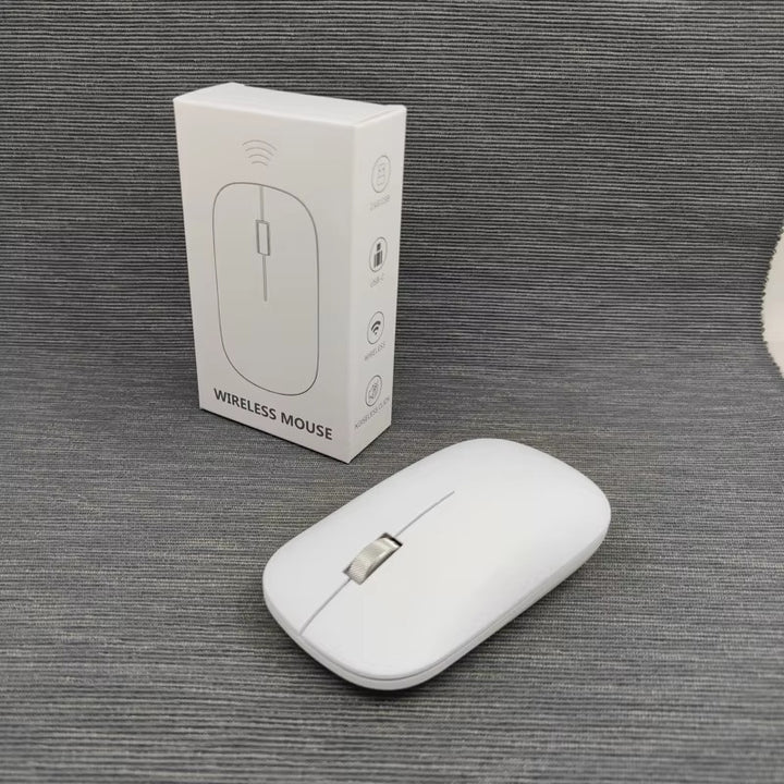Wireless Ergonomic Computer Mouse Kalsten