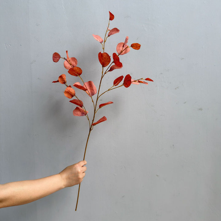Elegant Decorative Eucalyptus Branch