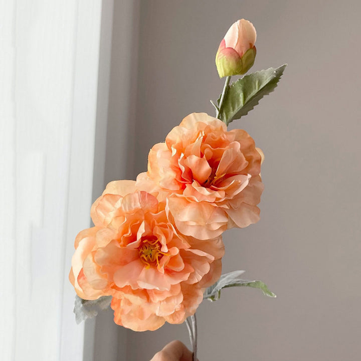 Realistic Peony Flower Stem