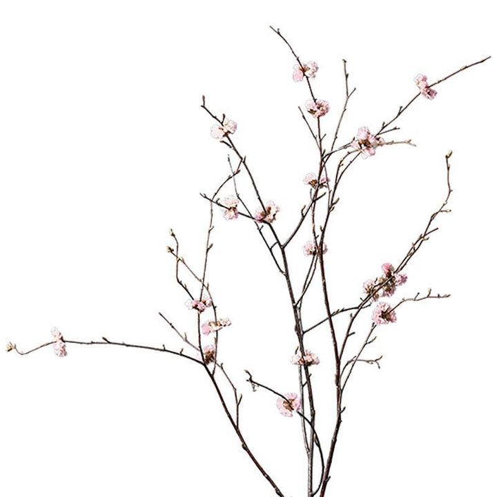 Stylish Dried Flower Arrangement