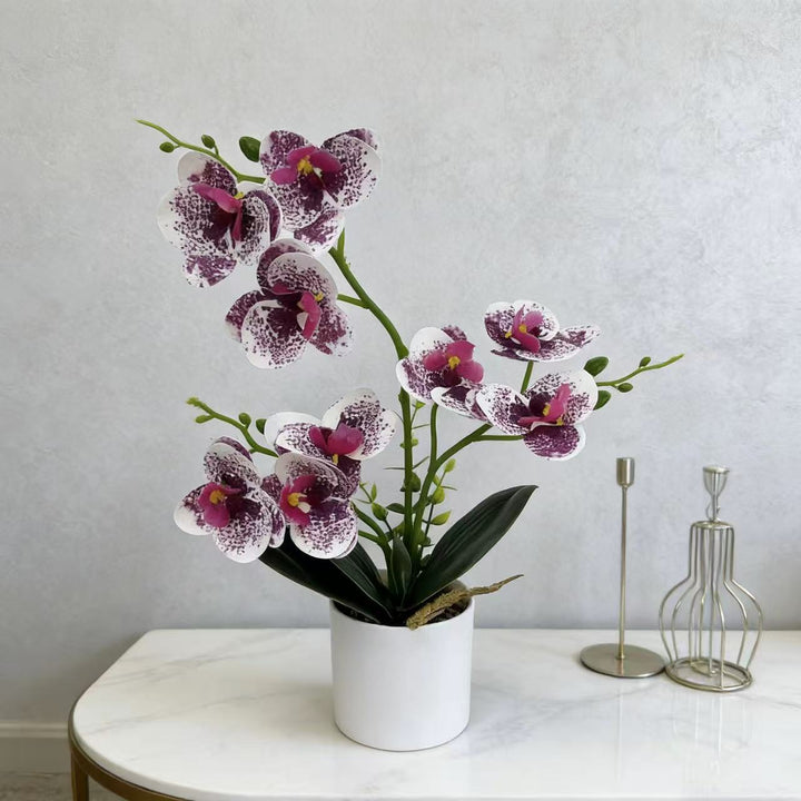 Decorative Orchid for Home Decor Display