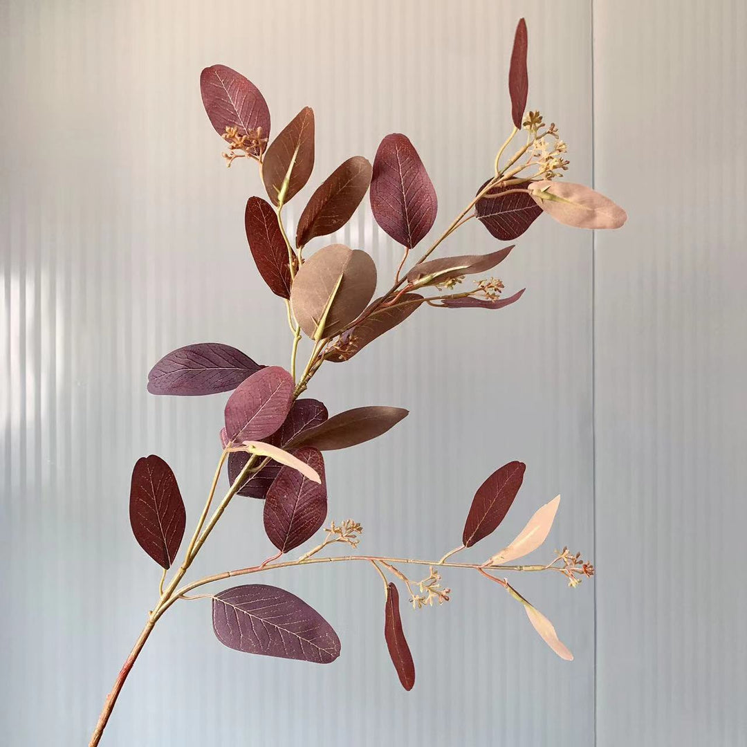 Natural Eucalyptus Stem