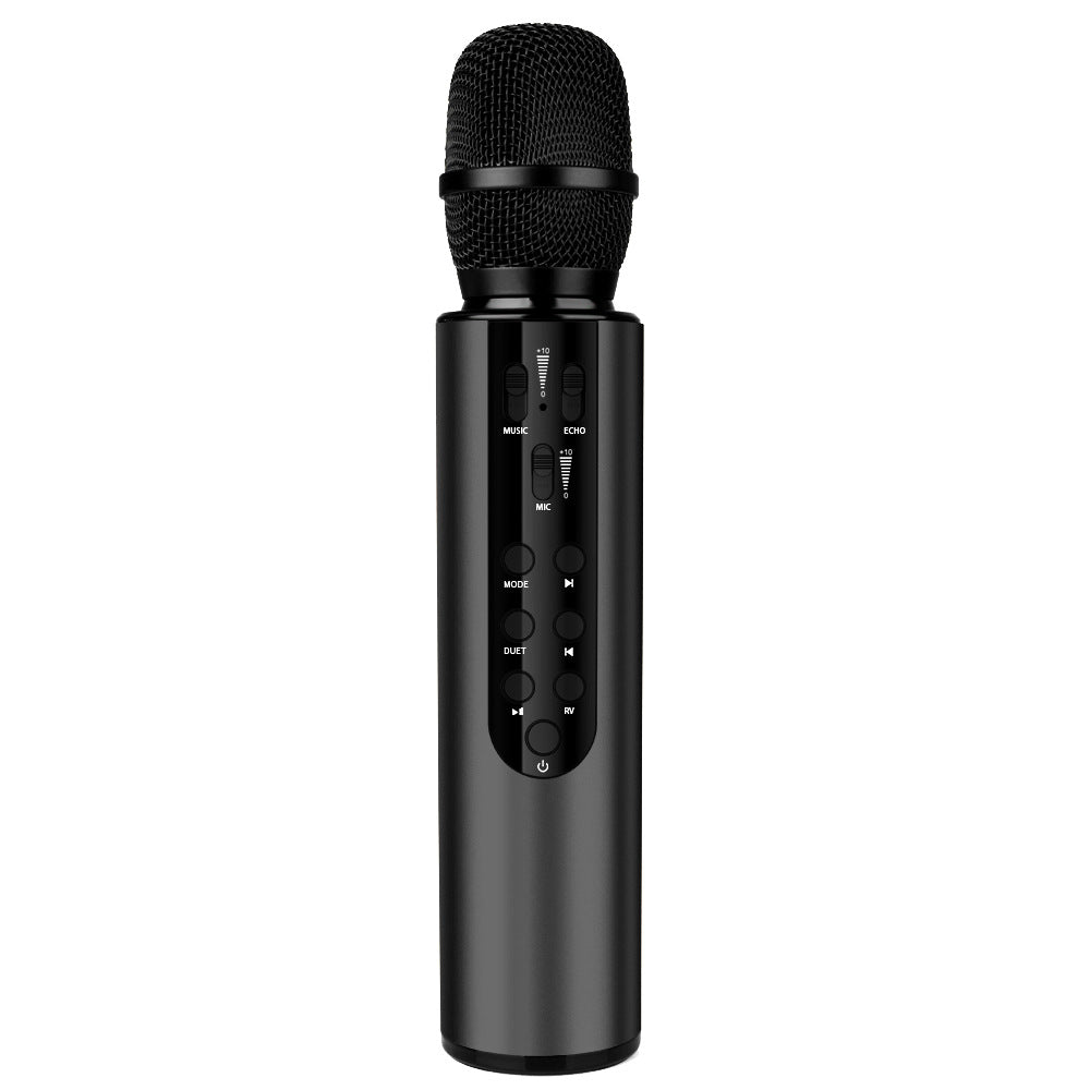 Karaoke Microphone Kalsten