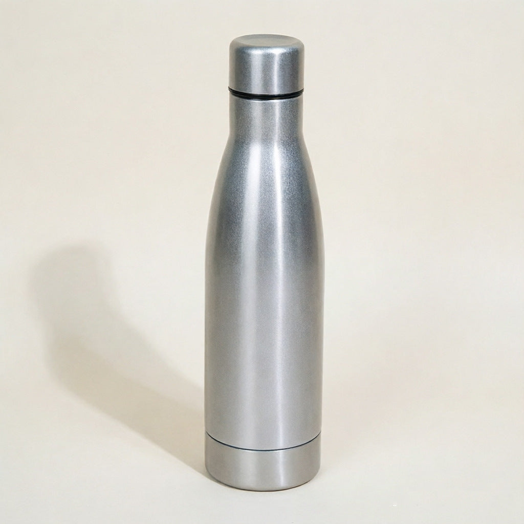 Insulated Stainless Steel Water Bottle Kalsten