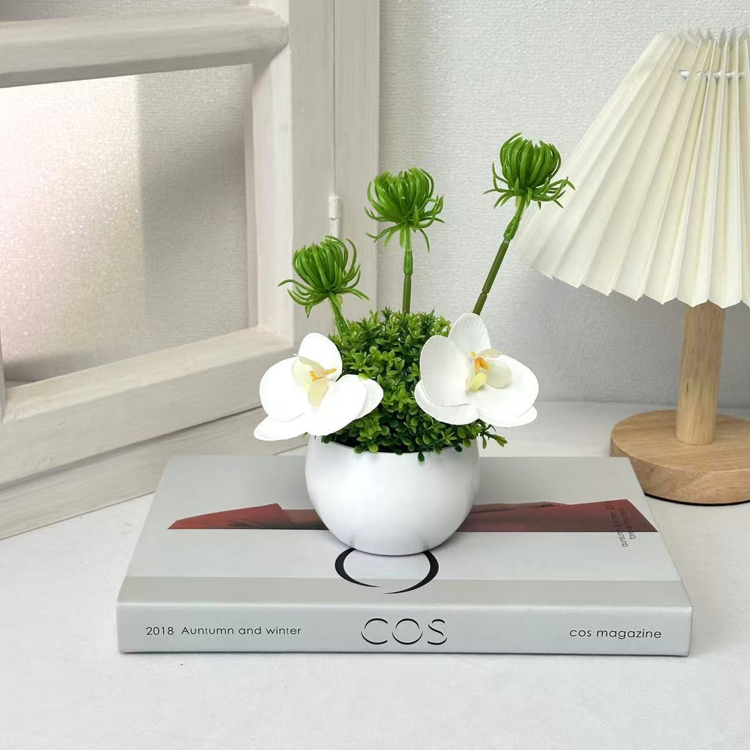 Decorative Orchid and Green Plant Arrangement