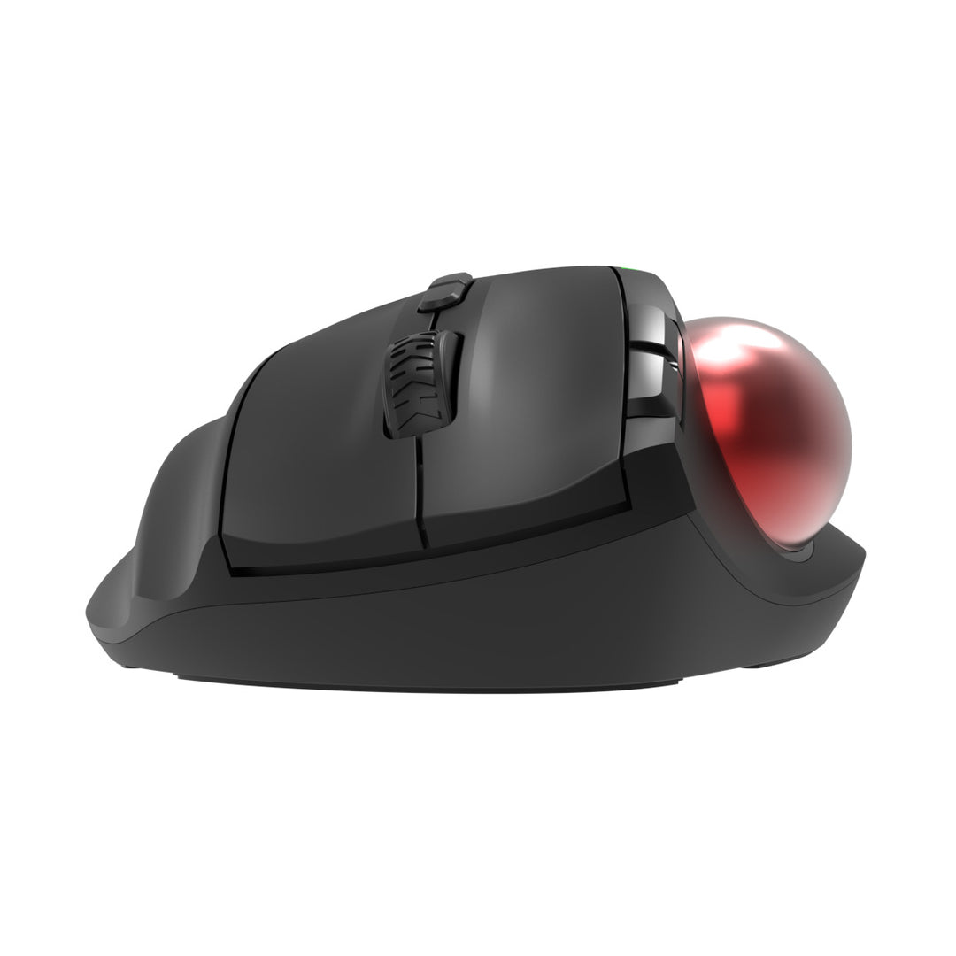 Ergonomic Funk Mouse Kalsten