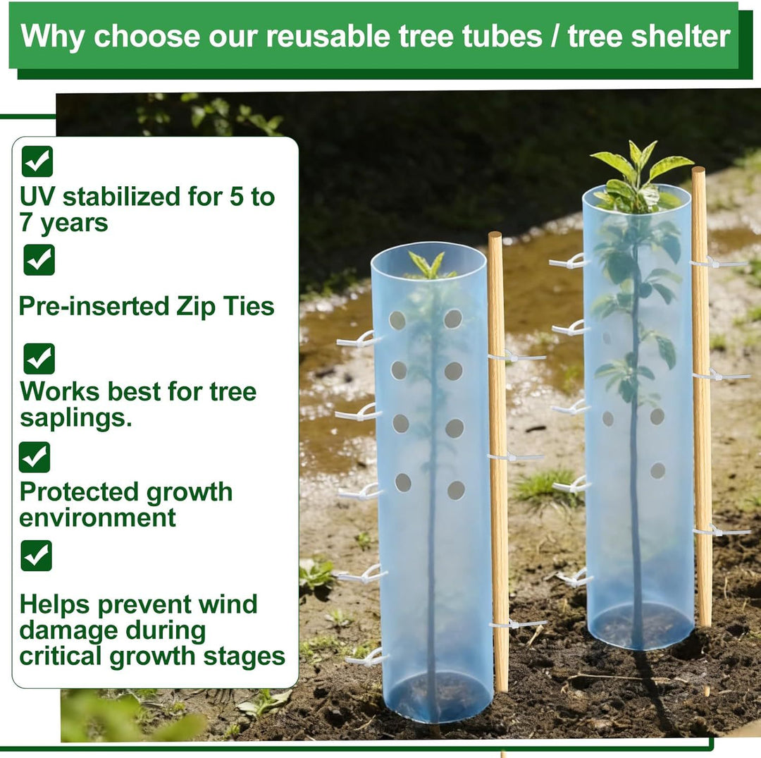 Tree Shelter Kalsten