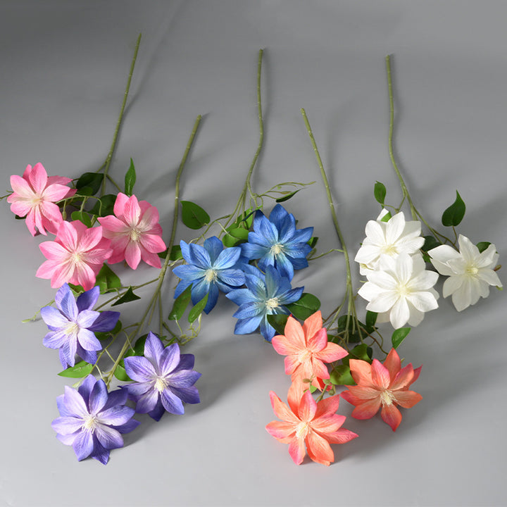 Decorative Floral Clematis Stem