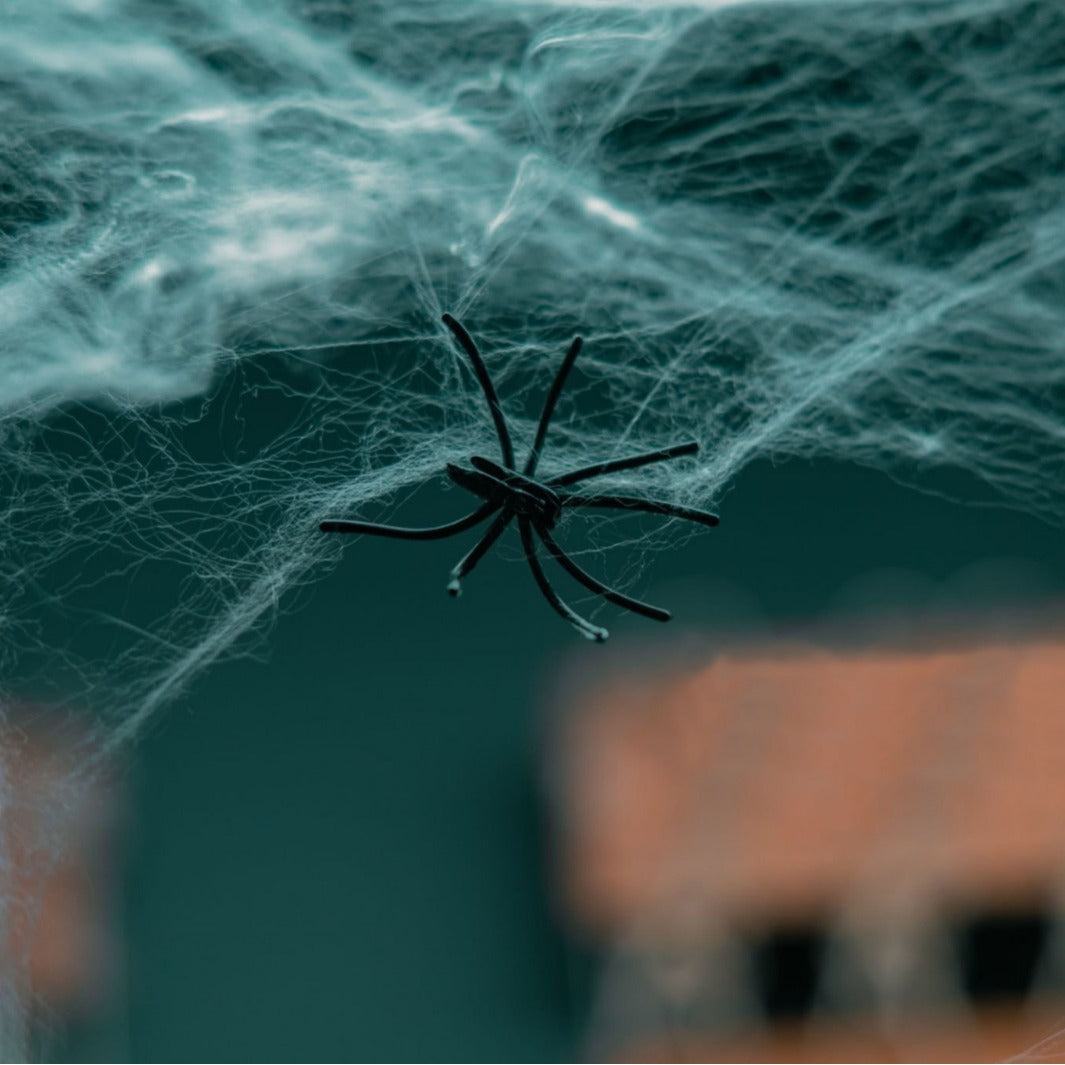 Decorative Spider Web Decor