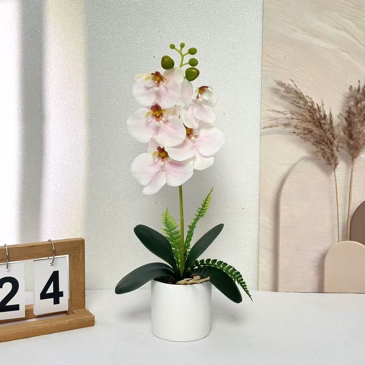Artificial Orchid Plant for Decorative Indoor Display