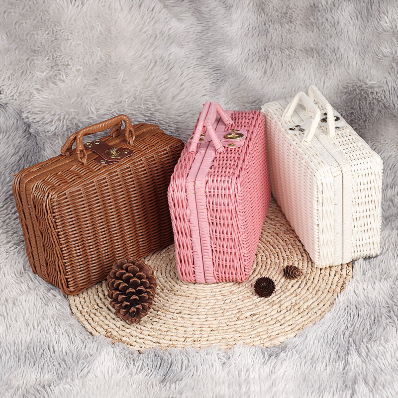 Stylish Woven Storage Case Kalsten