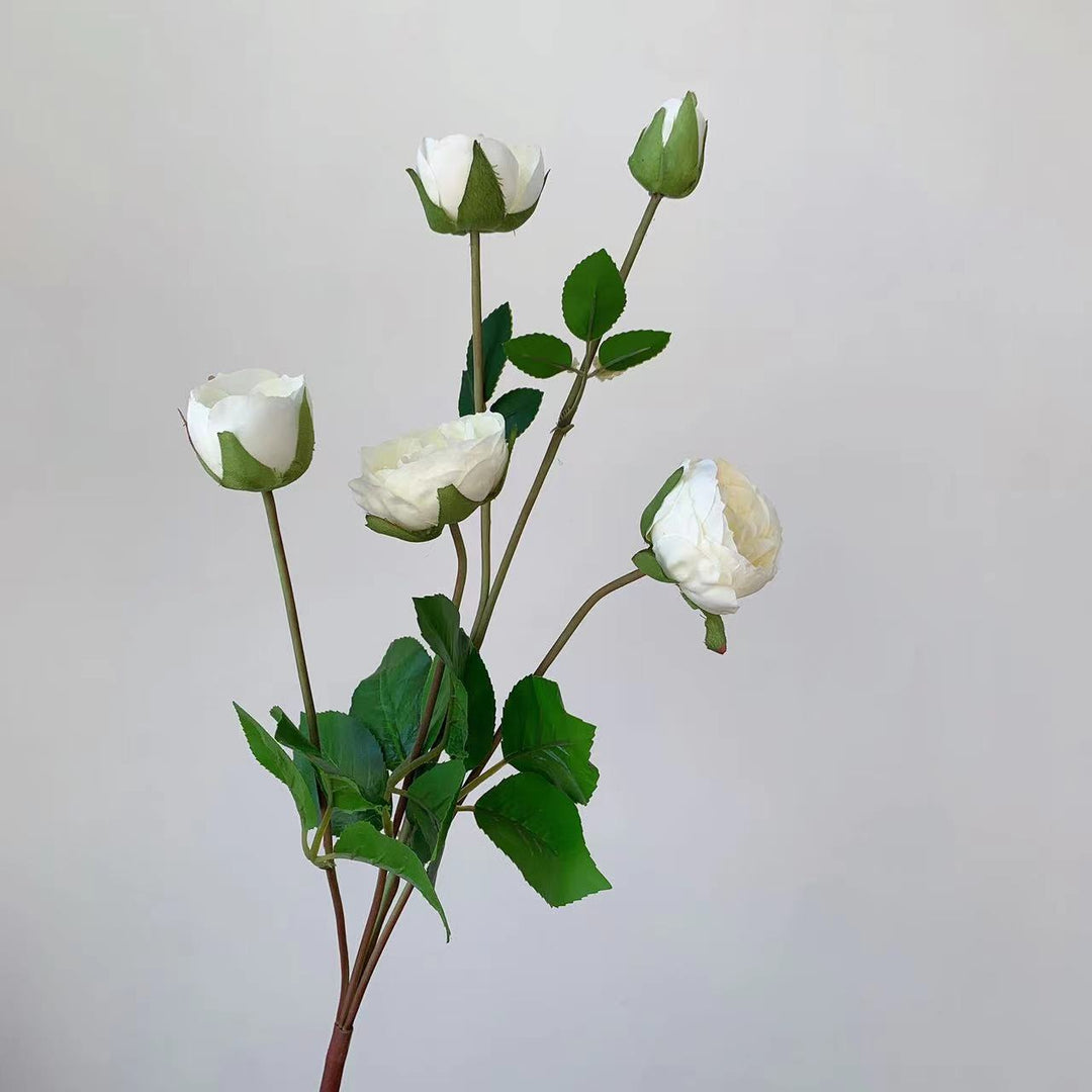 Realistic Garden Rose Stem