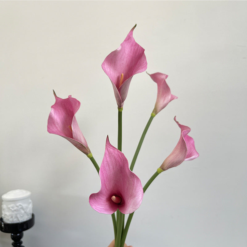 Elegant Calla Lily Bouquet