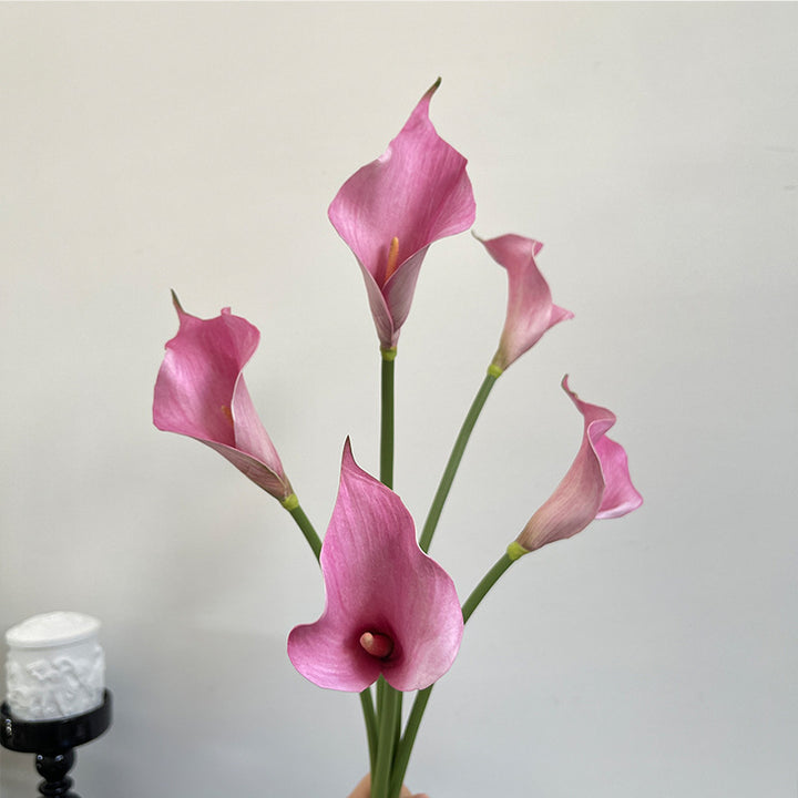 Elegant Calla Lily Bouquet