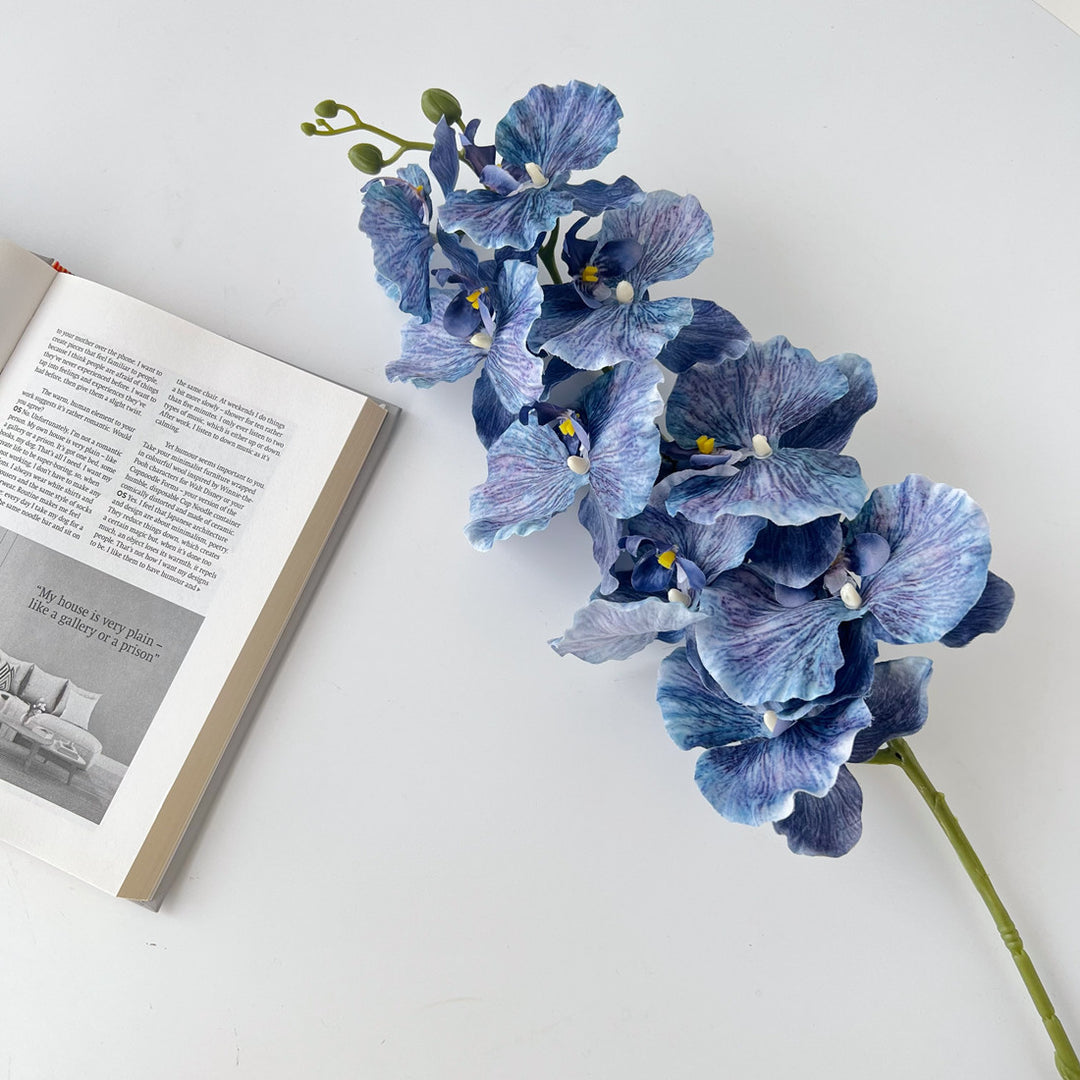 Realistic Orchid Floral Stem