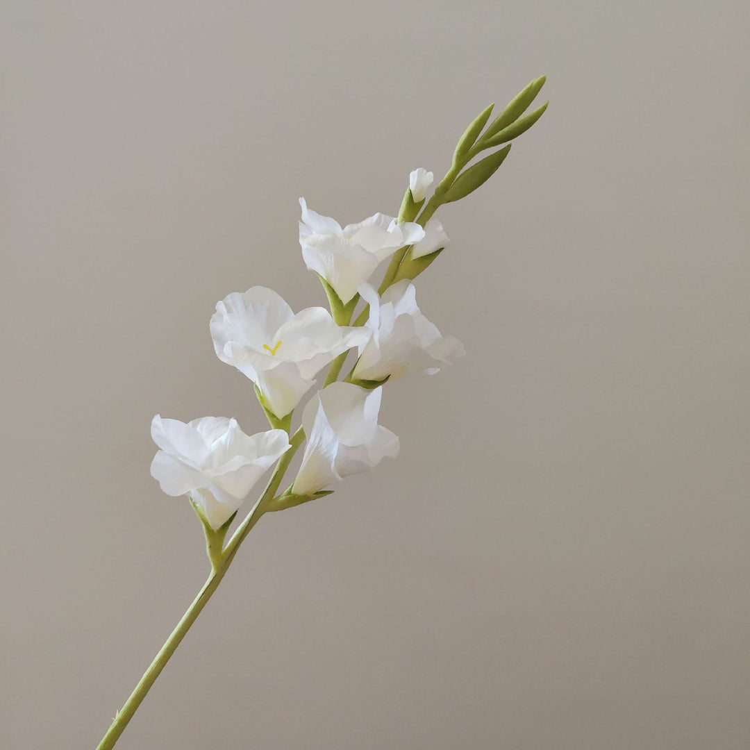 Orchid Floral Stem