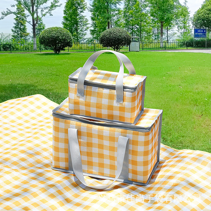 Stylish Insulated Picnic Cooler Bag