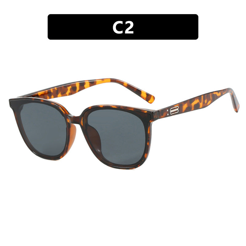 Ladies elegant sunglasses with trendy transparent frame Kalsten