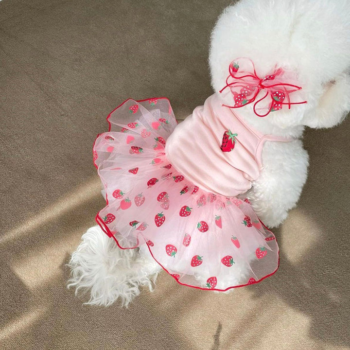 Strawberry Tulle Tutu Dress with Embroidered Berry and Organza