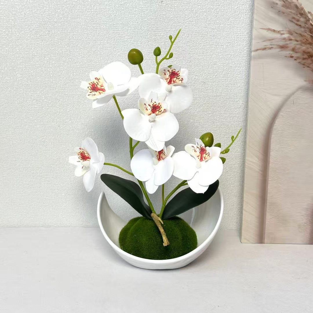 Orchid Decorative Centerpiece