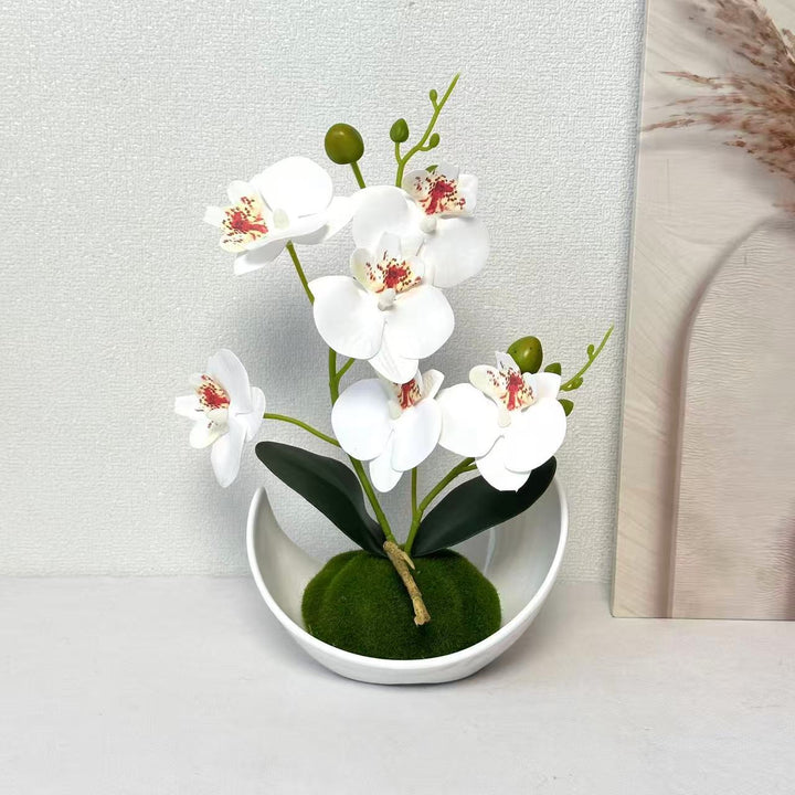 Orchid Decorative Centerpiece