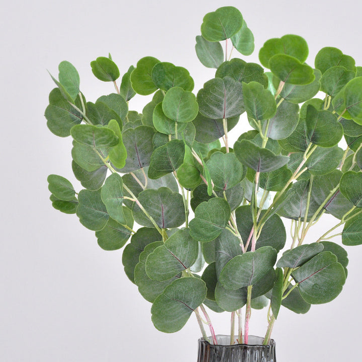 Lush Eucalyptus Stem