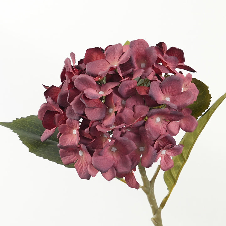 Decorative Hydrangea Stem