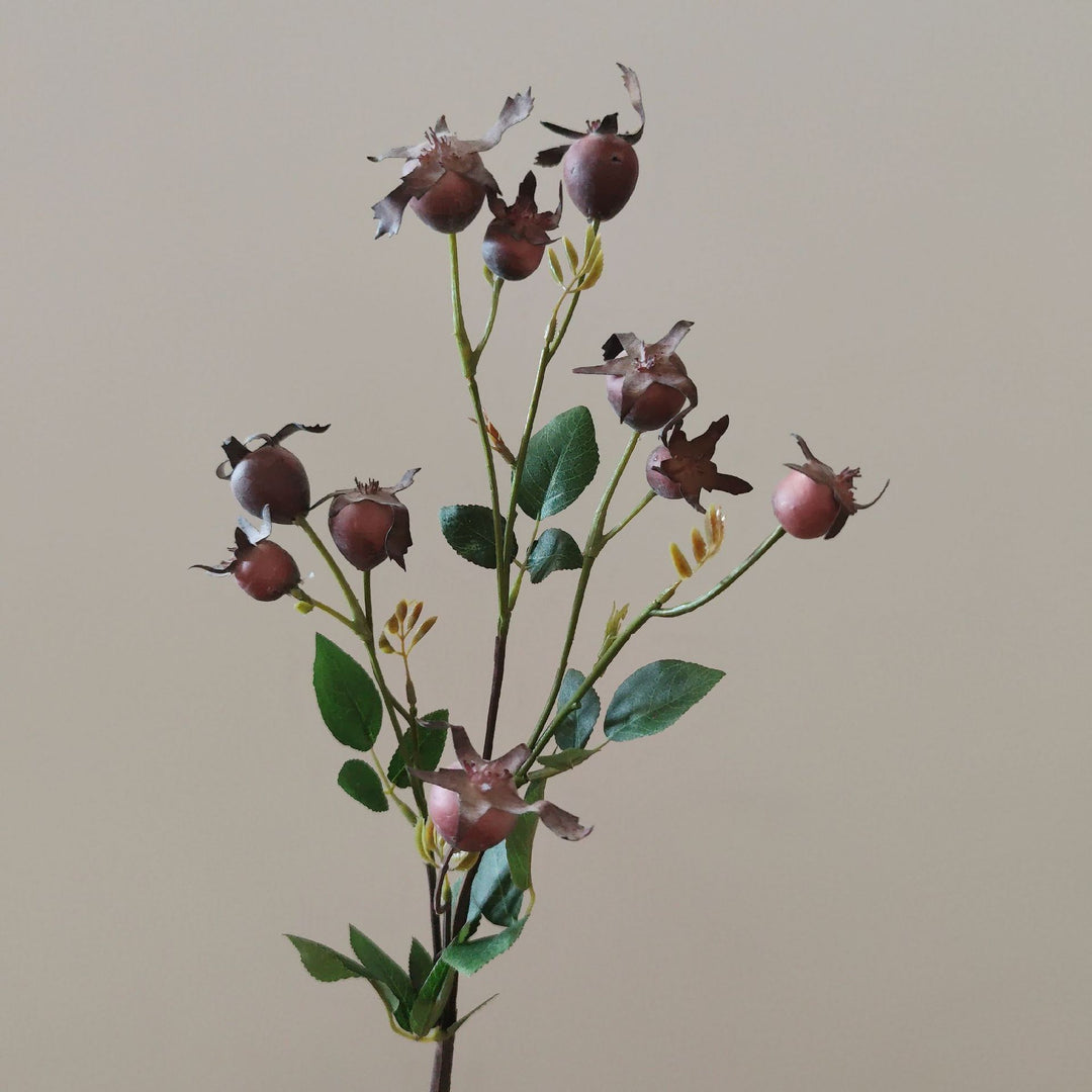 Decorative Natural Dried Floral Stem