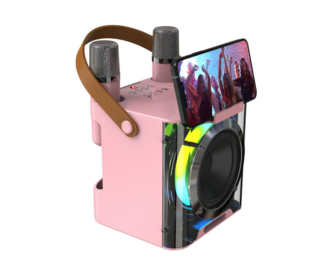 Karaoke Speaker System with Dual Microphones Kalsten