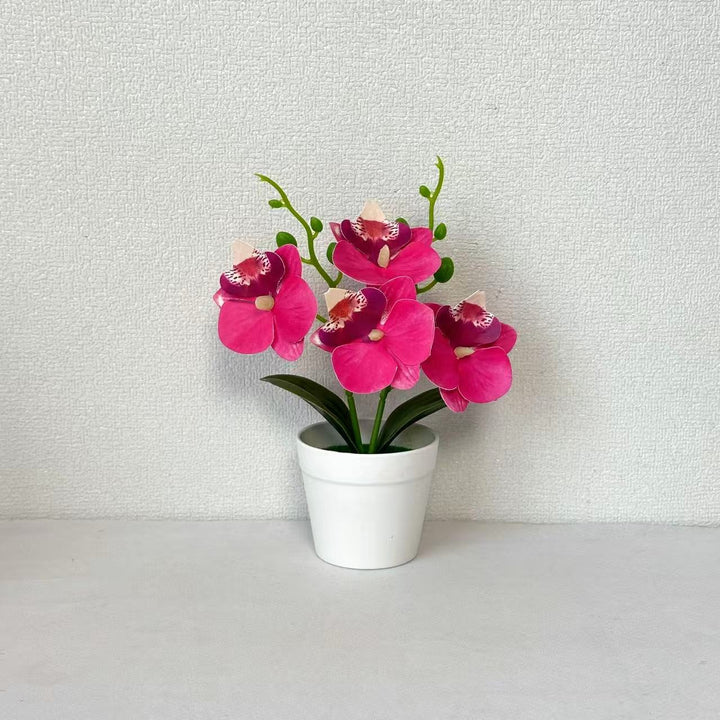 Elegant Decorative Orchid Floral Arrangement for Home Decor
