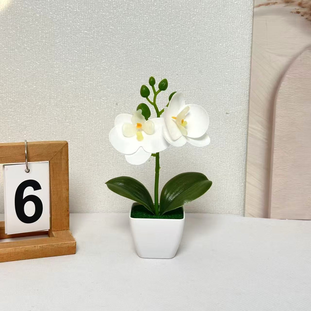 Lifelike Floral Orchid Display for Indoor Home Decor