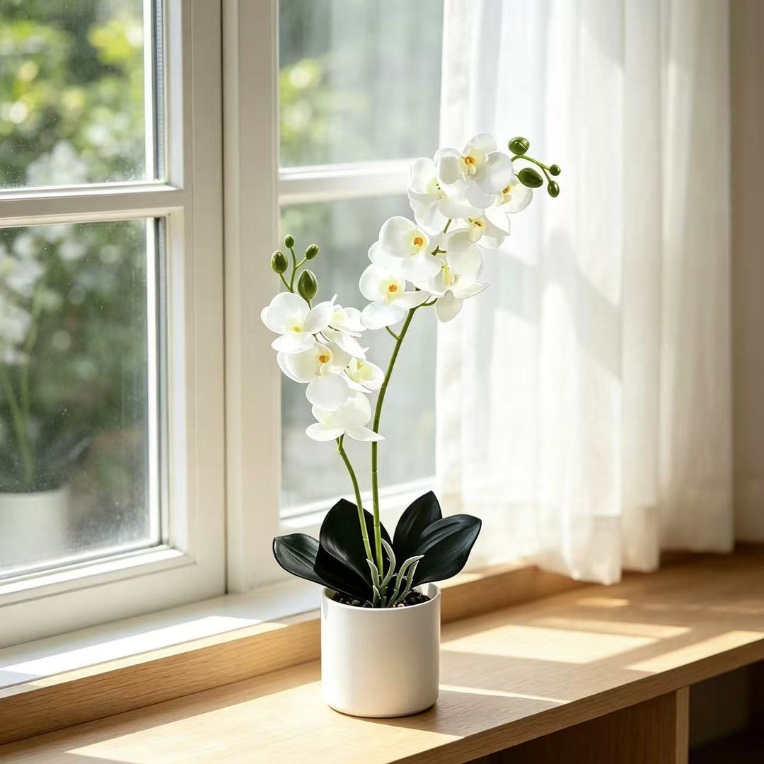 Lifelike Orchid Home Décor